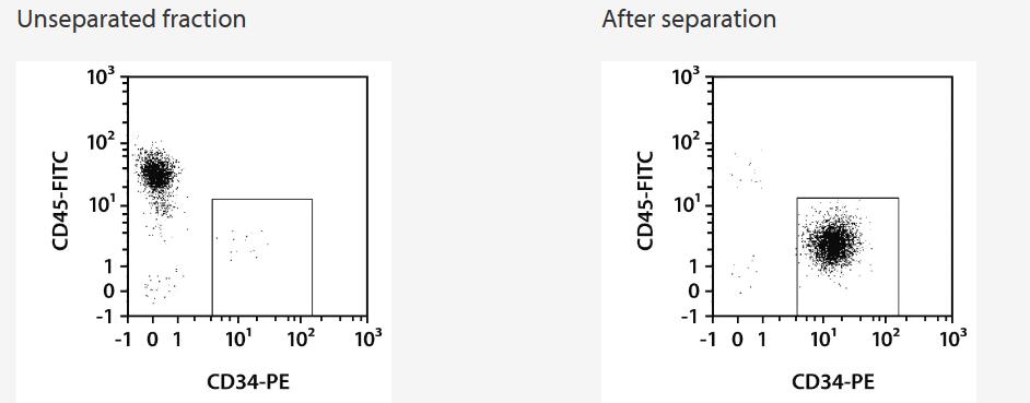 Isolation of CD34+ cells from a debris-rich PBMC sample. Cells were stained with CD34-PE, CD45-FITC and Propidium Iodide Solution. Cells before and after separation were analyzed by gating on PI-, lymphoid cells.